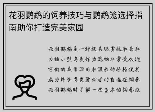 花羽鹦鹉的饲养技巧与鹦鹉笼选择指南助你打造完美家园